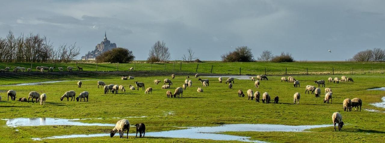 Gite Mont Saint Michel "Aucoeurdelabaie" Sains エクステリア 写真