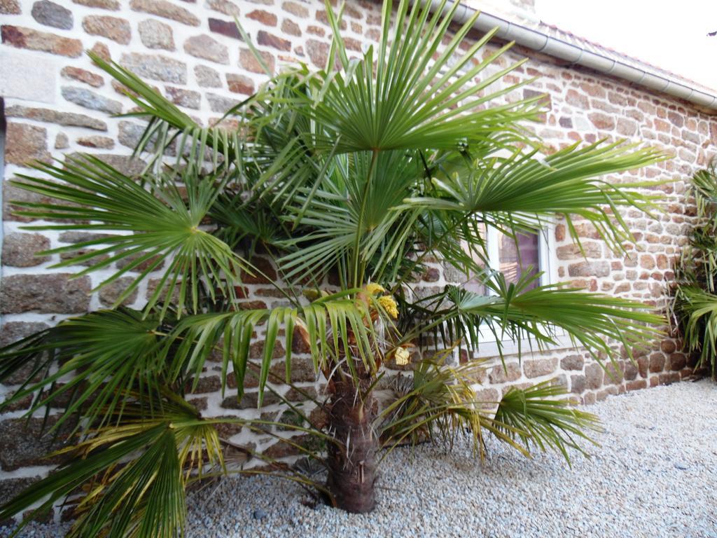 Gite Mont Saint Michel "Aucoeurdelabaie" Sains エクステリア 写真